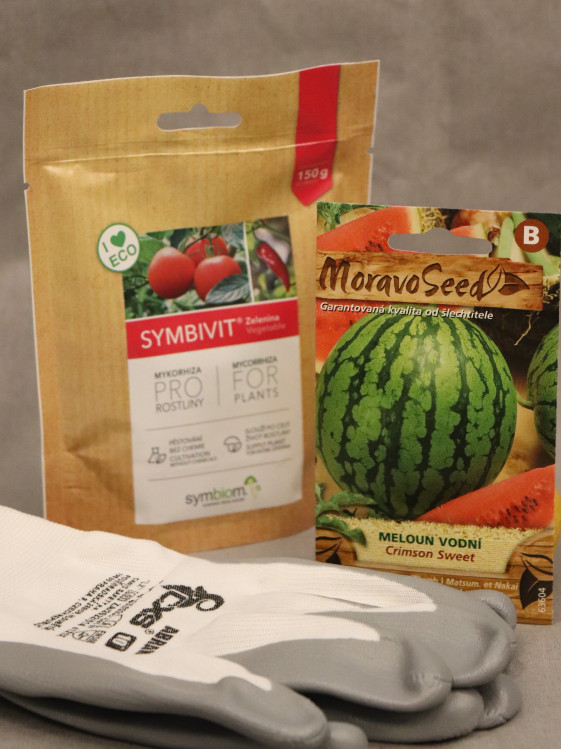 detail Meloun vodní CRIMSON SWEET