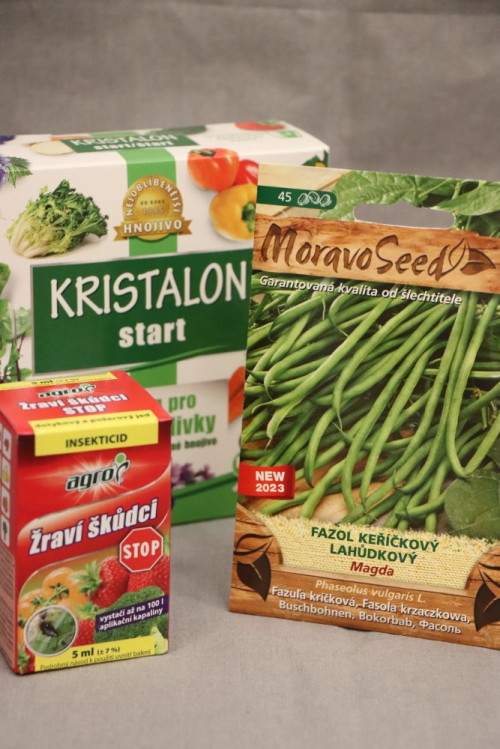 detail Fazol keříčkový zelený lahůdkový MAGDA