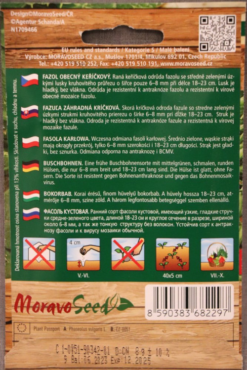detail Fazol keříčkový zelený lahůdkový MAGDA