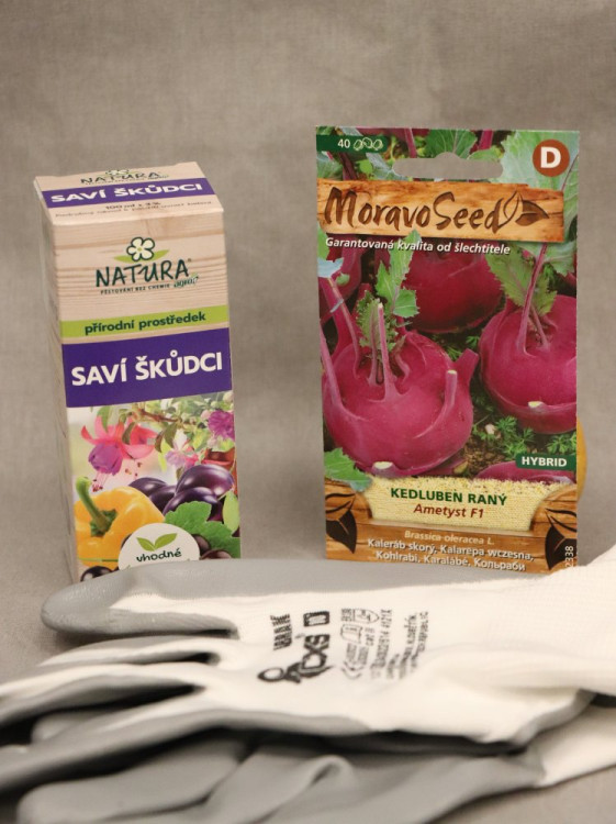 detail Kedluben raný modrý AMETYST F1