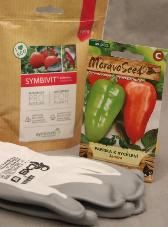 detail Paprika k rychlení SANDRA