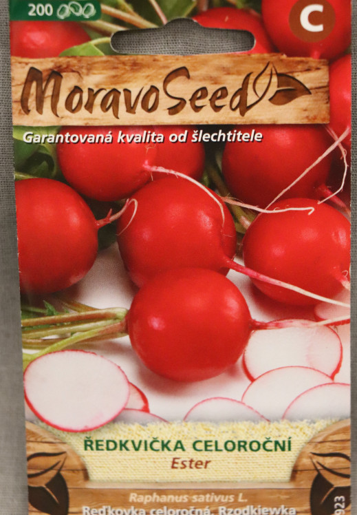 detail Ředkvička červená kulatá celoroční ESTER