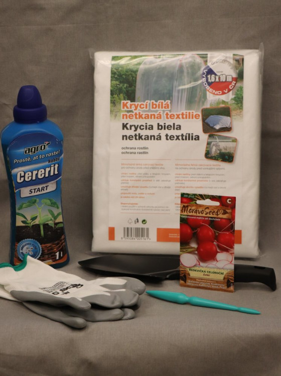 detail Ředkvička červená kulatá celoroční ESTER