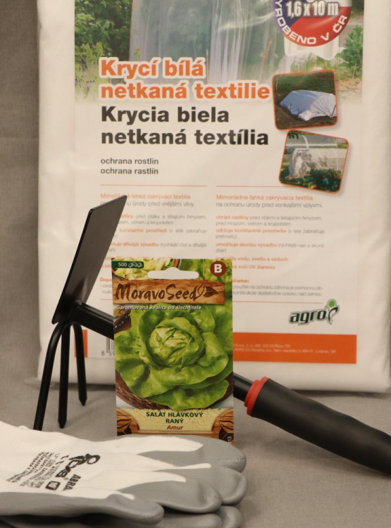 detail Salát hlávkový jarní a podzimní AMUR