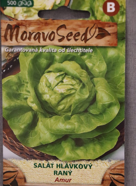 detail Salát hlávkový jarní a podzimní AMUR