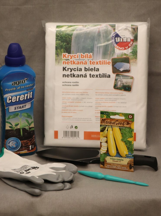 detail Tykev cuketa žlutá PALADIN F1