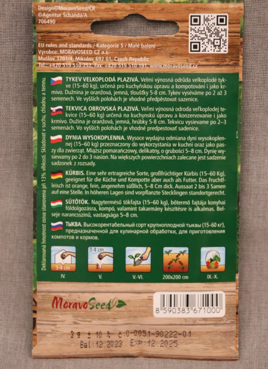 detail Tykev velkoplodá plazivá GOLIÁŠ