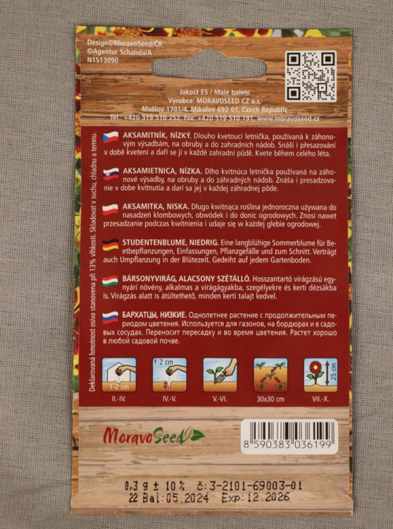 detail Aksamitník nízký