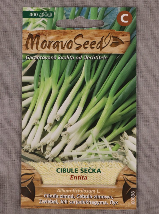 detail Cibule sečka Entita