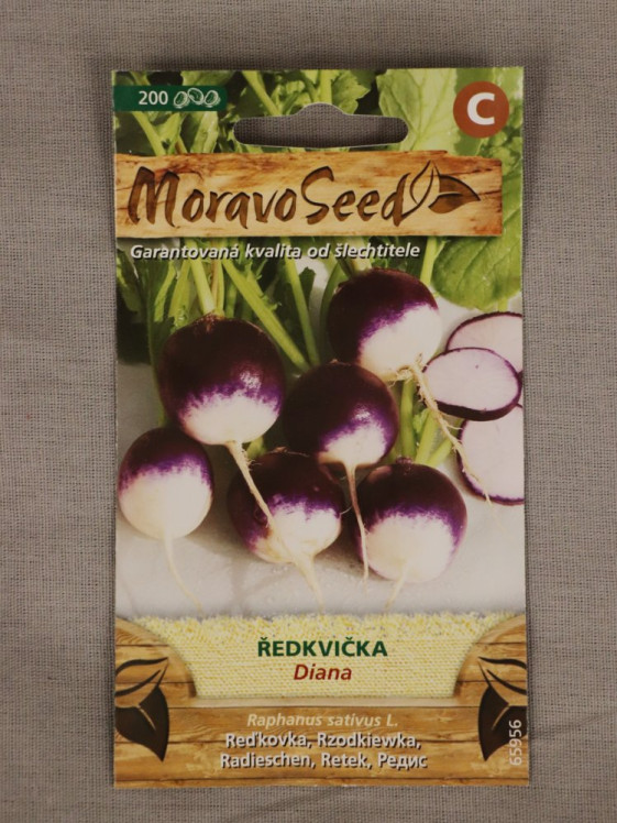 detail Ředkvička Diana