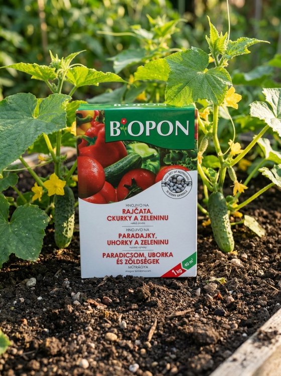 detail Bopon - rajčata, okurky a zelenina 1 kg BROS
