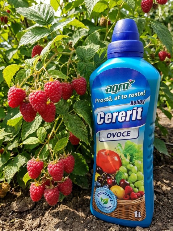 detail Cererit Hobby Ovoce kapalné 1L