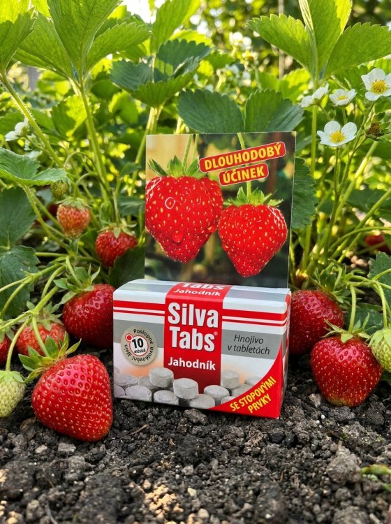 detail Silva Tabs Jahodník 250g