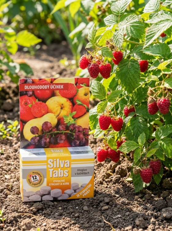 detail Silva Tabs Ovocné stromy a keře 250g