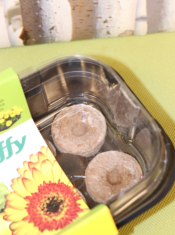 detail Minipařeniště GH-12