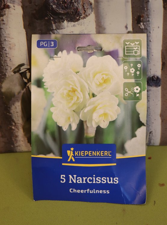 detail Narcis 'Cheerfulness'