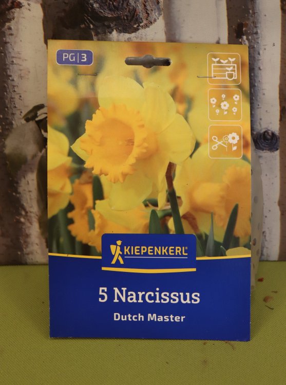 detail Narcis 'Dutch Master'