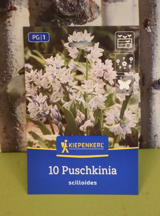 detail Pushkinie