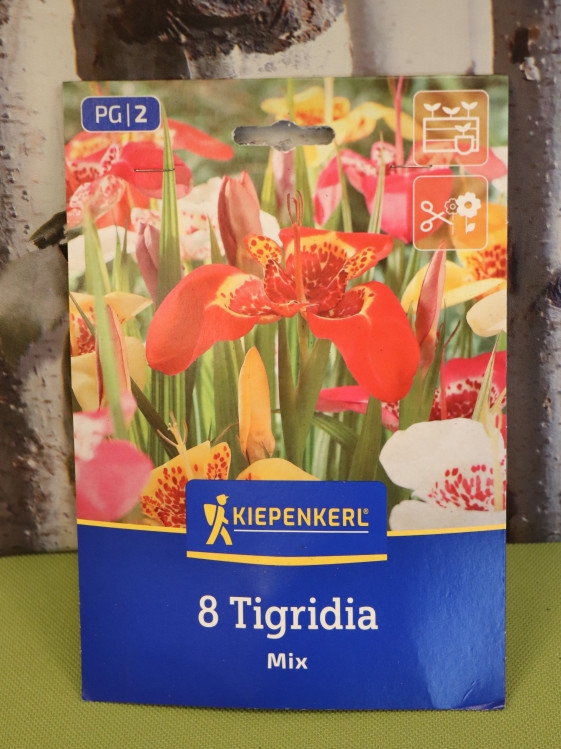 detail Směs tygřích květů