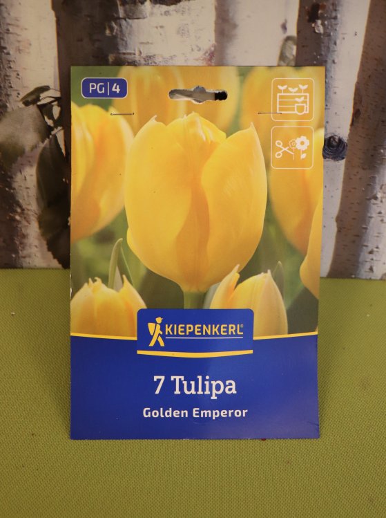 detail Tulipán 'Golden Emperor'