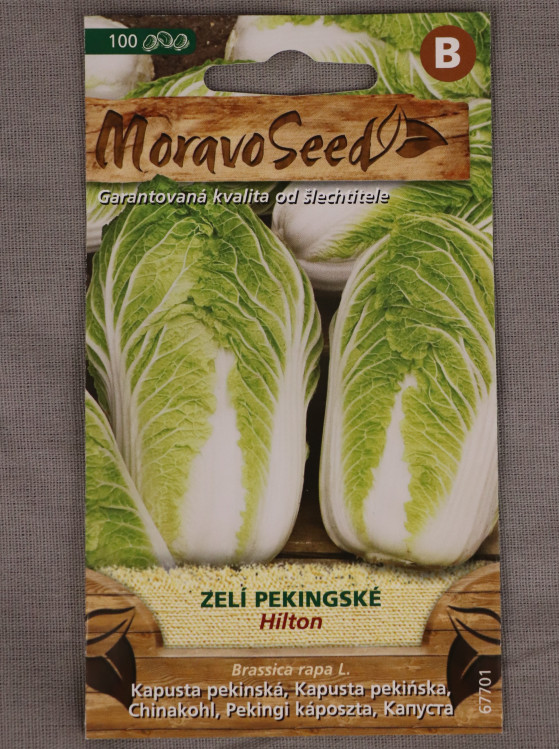 detail Zelí pekingské Hilton