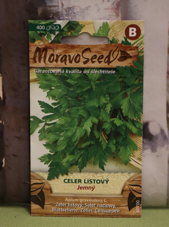 detail Celer listový jemný