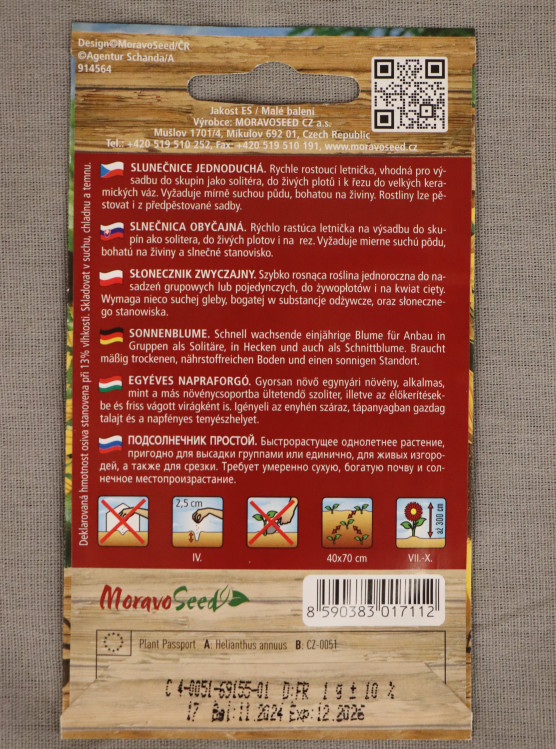 detail Slunečnice jednoduchá