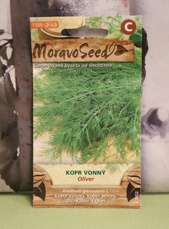 detail Kopr vonný 'Oliver'