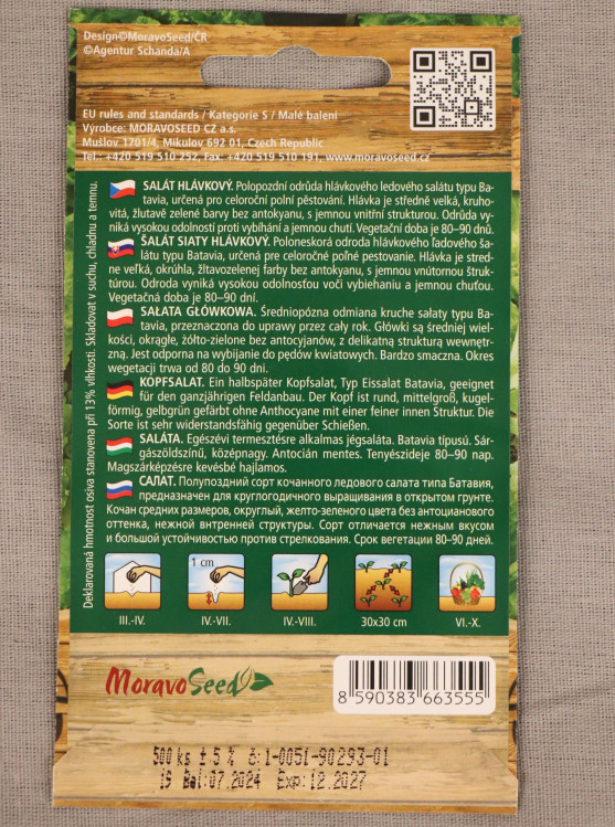 detail Salát hlávkový led. celor. Kamelot