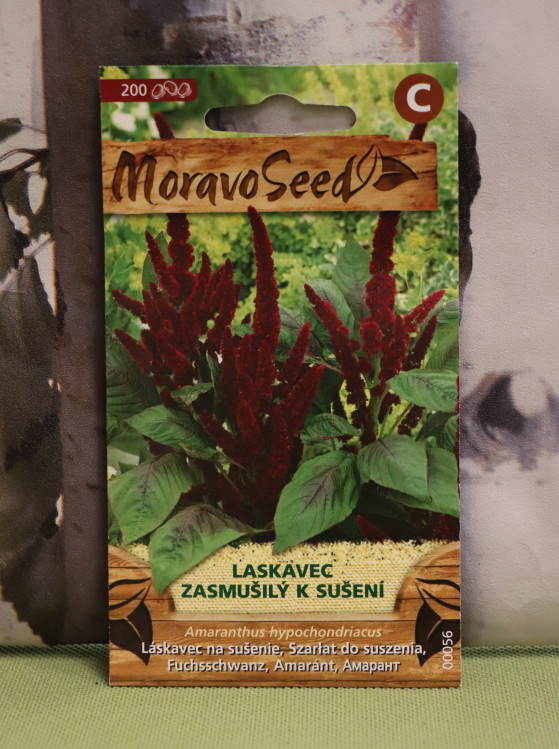 detail Laskavec zasmušilý - červený