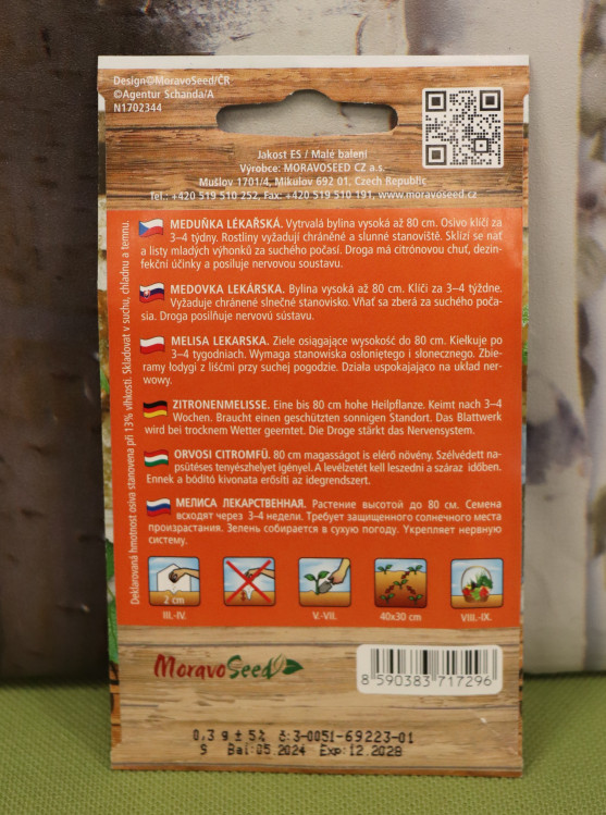 detail Meduňka lékařská