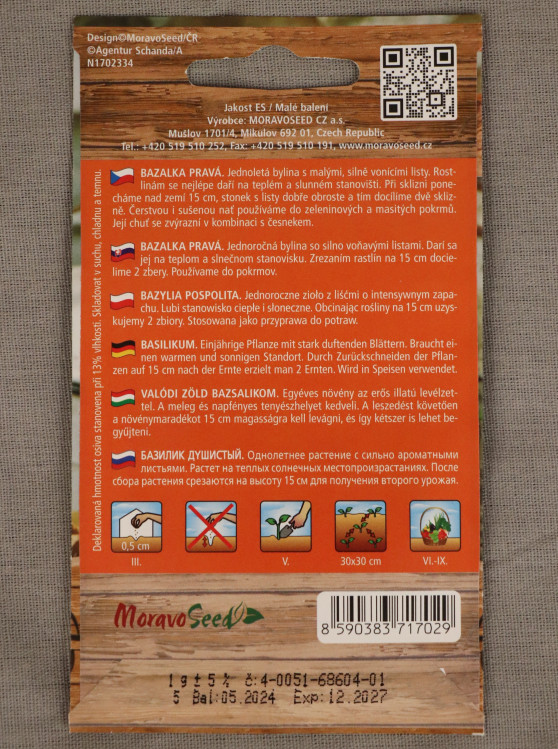 detail Bazalka pravá zelená