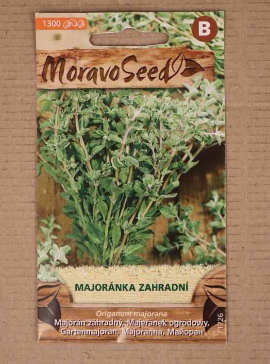 detail Majoránka zahradní