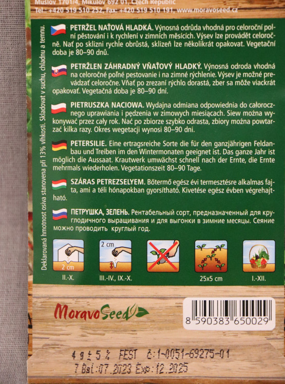 detail Petržel naťová hladká