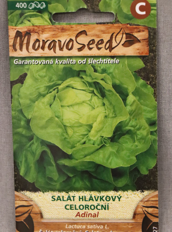 detail Salát hlávkový celoroční ADINAL