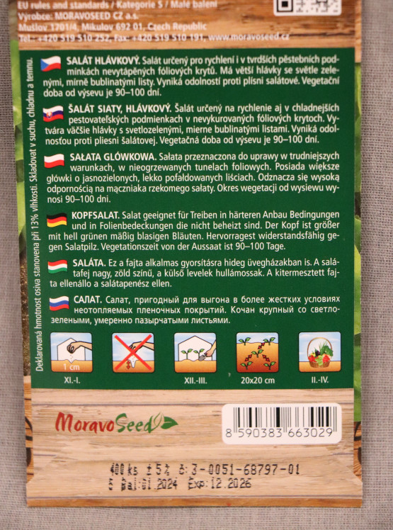 detail Salát hlávkový k rychlení SAFÍR