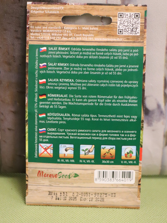 detail Salát římský 'Galba'