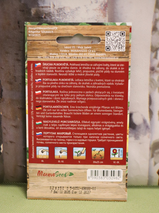 detail Šrucha plnokvětá