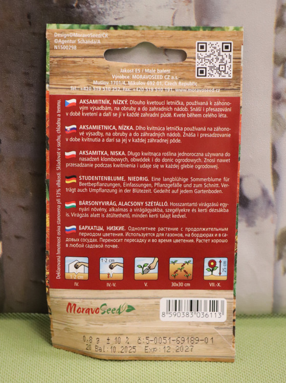 detail Aksamitník nízký plnokvětý