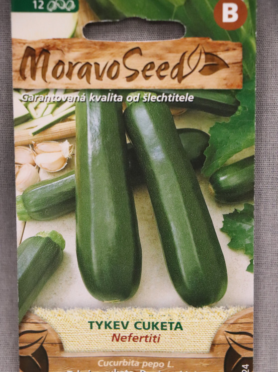 detail Tykev cuketa zelená NEFERTITI
