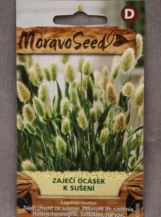 detail Zaječí ocásek - k sušení