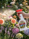 náhled Přípravek NATURA Rock Effect RTD 500ml