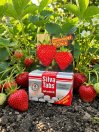náhled Silva Tabs Jahodník 250g